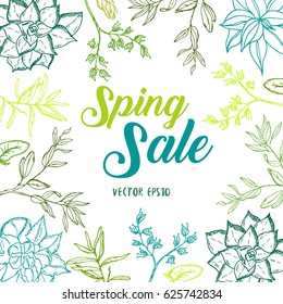 Hand drawn postcard with SPRING SALE decorated with rosemary plant, succulent plants and dry herbs. Green leaves with herbs for health care. Vector stock Illustration. White background.