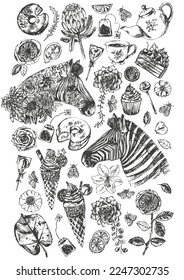 Hand drawn poster design template with zebra head, sweet dessert, tea, ice cream, flowers, donut, lollipop, cupcake, rose, cake.