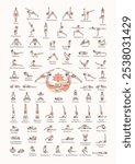 Hand drawn poster of hatha yoga poses and their names, Iyengar yoga asanas difficulty levels 1-5	