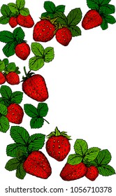 Hand drawn poster with strawberries isolated white background with place for text. Design for nature products, food and drink, healthy life,  advertising, print, card, menu or banner. 