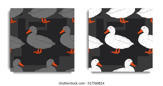 Hand drawn posters design. Backgrounds with hand drawn ducks. Set of hand drawn seamless patterns