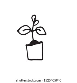 Hand drawn pot plant vector