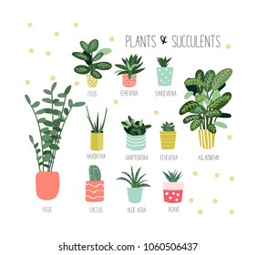 Hand drawn pot plants collection. Vector illustration