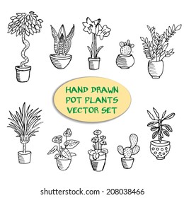 Hand drawn pot plants vector set