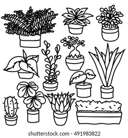 Hand drawn pot plants vector set isolated