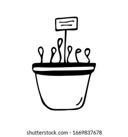 Hand drawn pot with sprouts on a white isolated background. Doodle, simple outline illustration. It can be used for decoration of textile, paper.