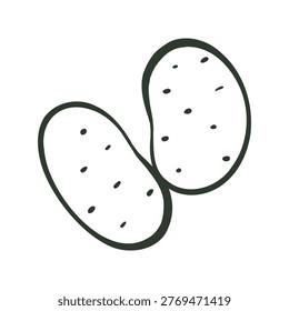 Hand drawn potato doodle icon in outline style. Farm vegetable isolated on white for cooking, menu and grocery design.