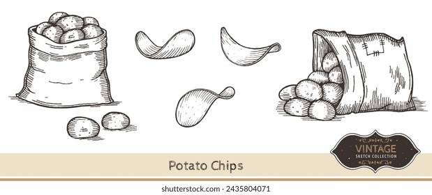 Papas dibujadas a mano y papas fritas aisladas sobre fondo blanco. Ilustración vectorial. 