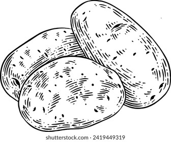 Hand drawn Potatoes Sketch Illustration