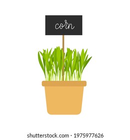 Hand drawn potted corn microgreens. Organic Healthy food. Corn Sprouts with green leaves isolated on white background. Edible plants for healthy nutrition. Vector illustration in flat cartoon style.