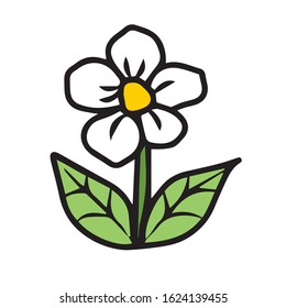 Hand drawn, potted flower for office and home .Botanical design.Vector illustration on a white isolated background.Form for banners, postcards. Nature