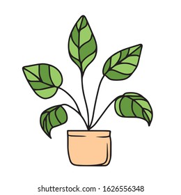 Hand drawn, potted flower for office and home .Botanical design.Vector illustration on a white isolated background.Form for banners, postcards. Nature