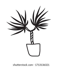 Hand drawn, potted flower for office and home .Botanical design.Vector illustration on a white isolated background.Form for banners, postcards. Nature