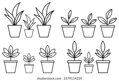 Hand Drawn Potted Indoor Plants For Home And Workplace Decoration Line Art Illustration On An Isolated White Background	
