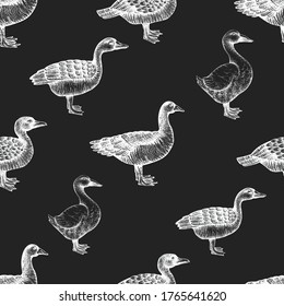 Hand drawn poultry seamless pattern. Vector goose and duck illustrations on chalk board. Vintage farm birds background
