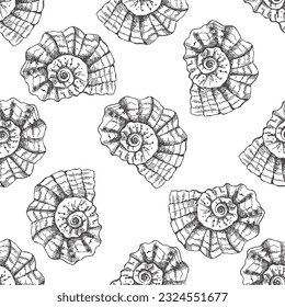 Hand drawn  prehistoric ammonite, seashell seamless pattern. Sketch style vector illustration isolated on white background.
