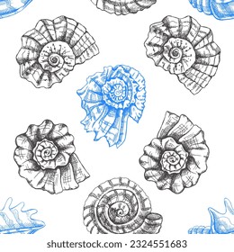 Hand drawn  prehistoric ammonite, seashell seamless pattern. Sketch style vector illustration isolated on white background.
