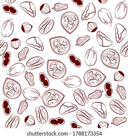 Hand drawn print with different whole and shelled nuts Sketch seamless pattern with walnuts, brazil nuts, peanuts, hazelnuts and pecan on white background