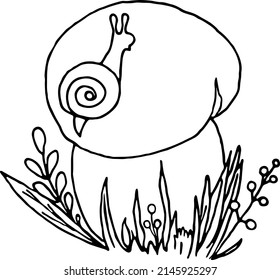 Hand drawn print of mushroom with cute snail in its cap in doodle style for coloring book