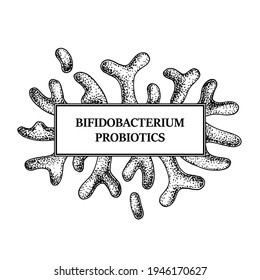 Hand drawn probiotic bifidobacterium bacteria frame. Design for packaging and medical information. Vector illustration in sketch style