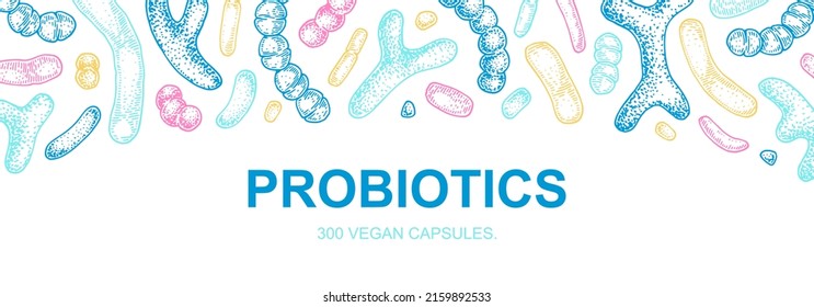 Hand drawn probiotics design for packaging and branding. Vector illustration in sketch style. Microscopic bacteria close-up. Biology background