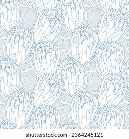 Hand drawn protea flower seamless pattern for textile,wallpaper, tropical line art vector background. Modern tropical floral illustration.