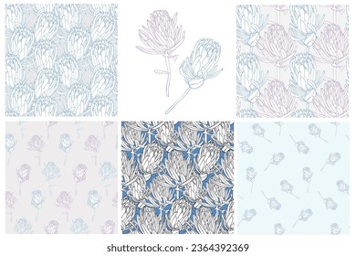 Hand drawn protea flower seamless pattern set for textile,wallpaper, tropical line art vector background. Modern tropical floral illustration.