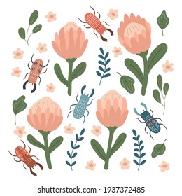 Protea dibujada a mano y escarabajos estilizados. Insectos de garrapatas, hojas y flores. Ilustración vectorial de primavera.
