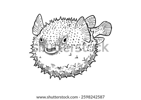 hand drawn puffer fish illustration