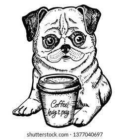 
Hand drawn pug with a Cup of coffee on a white background. Graphics ink illustration.