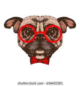 Hand drawn pug dog with bow tie and red glasses, isolated on white, vector illustration