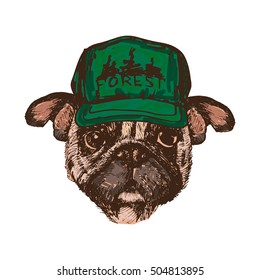 Hand drawn pug dog, isolated on white, vector illustration