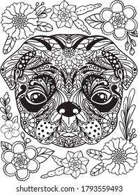 Hand drawn Pug doodle with flower decorative elements. Animal coloring page for adults and kids. Vector Illustration.