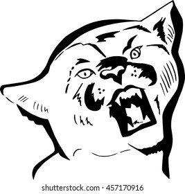 Hand drawn puma head. Vector