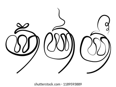 hand drawn pumpkin.