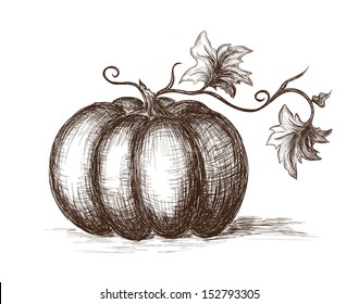 Pumpkin Line Drawing Images, Stock Photos & Vectors | Shutterstock