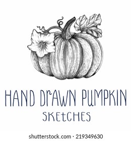 Hand drawn pumpkin