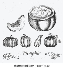 hand drawn pumpkin