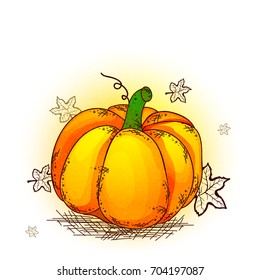 Hand drawn pumpkin with autumn leaves for Happy Thanksgiving Day celebration.