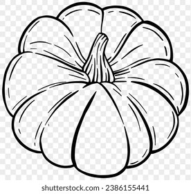 Hand drawn pumpkin in  brush style isolated on transparent PNG background for Thanksgiving 