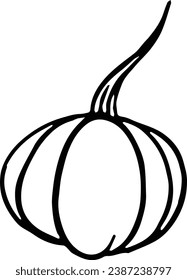 Hand drawn pumpkin  in  brush style isolated on transparent PNG background for Thanksgiving 