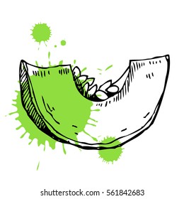Hand drawn pumpkin. Can be used for vegan products, brochures, banner, restaurant menu, farmers market and organic food store