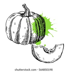 Hand drawn pumpkin. Can be used for vegan products, brochures, banner, restaurant menu, farmers market and organic food store