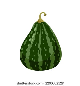 Hand drawn pumpkin, decorative gourd. Autumn harvest, decoration for thanksgiving and halloween. Striped squash vegetable. Vector isolated flat cartoon illustration.
