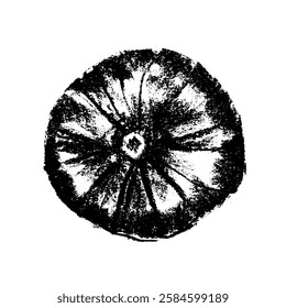 Desenho de abóbora desenhado à mão. Símbolo de abóbora vetorial. Ilustração de abóbora orgânica com desenho a carvão, textura de lápis doodle. Sinal vegetal e esboço vegetativo.