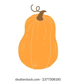 Hand drawn pumpkin. Flat vector illustration isolated on white background.