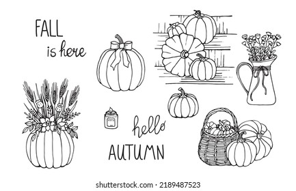 Hand drawn pumpkin with flowers branches and spikes. Set with vase candle. Decor for autumn interior. Black outline isolated on white.