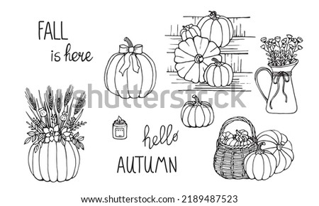 Hand drawn pumpkin with flowers branches and spikes. Set with vase candle. Decor for autumn interior. Black outline isolated on white.