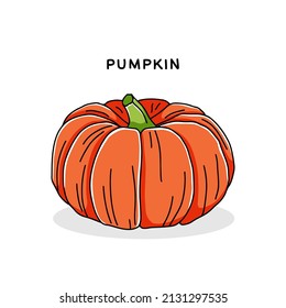 Hand drawn pumpkin icon. Vector illustration in doodle style isolated on white background