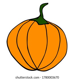Hand drawn pumpkin illustration. Single element isolated on white background. Line art, vector eps10. Can be used for greeting cards, halloween decoration, organic natural food design.